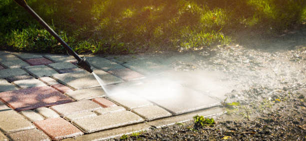 Best Dumpster Area Cleaning  in South Alamo, TX